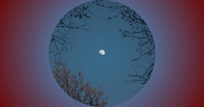 Lua fina num céu crepuscular entre ramos, imagem do curso A Vida como Sonho