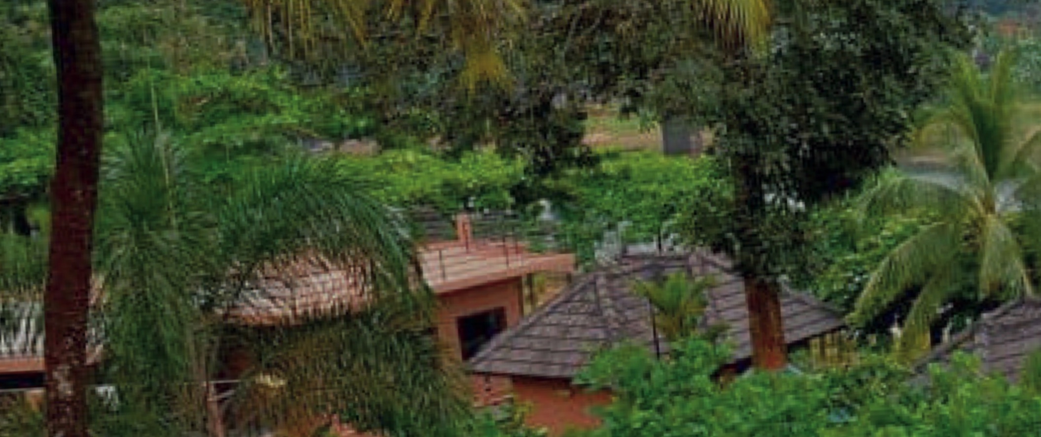 Os Centros Madukkakuzhy entre palmeiras e vegetação, em Kerala